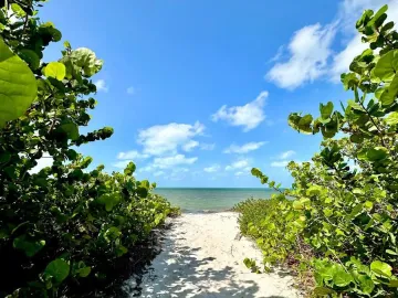 Terreno en venta en San Benito, Dzemul, Yucatán