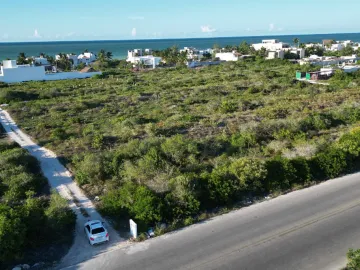 Terreno en venta en San Benito, Dzemul, Yucatán