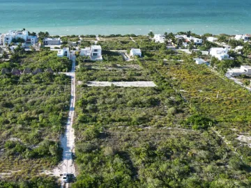 Terreno en venta en San Benito, Dzemul, Yucatán