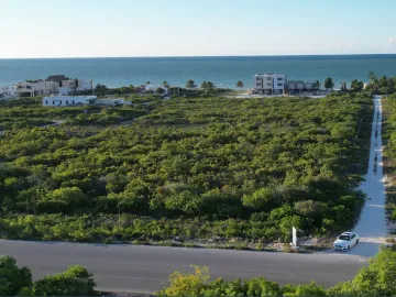 Terreno en venta en San Benito, Dzemul, Yucatán