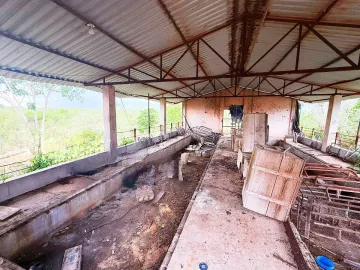 Terreno en venta en Chapab, Chapab, Yucatán