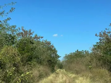 Terreno en venta en Motul de Carrillo Puerto Centro, Motul, Yucatán