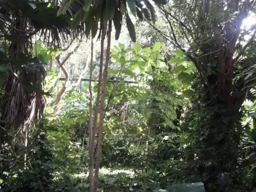Terreno en venta en Teya, Kanasín, Yucatán