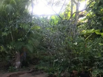 Terreno en venta en Teya, Kanasín, Yucatán