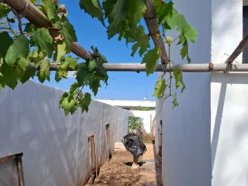 Casa en venta en Sitpach, Mérida, Yucatán