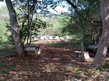Terreno en venta en Muna de Leopoldo Arana Cabrera, Muna, Yucatán