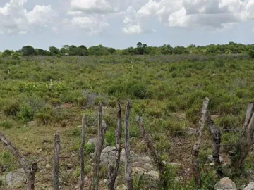 Terreno en venta en Dzemul, Dzemul, Yucatán