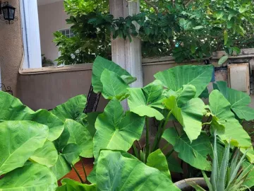 Casa en venta en Merida Centro, Mérida, Yucatán