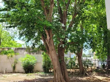 Casa en venta en Garcia Gineres, Mérida, Yucatán