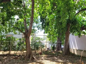 Casa en venta en Garcia Gineres, Mérida, Yucatán