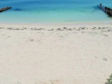 Casa en venta en Chuburna Puerto, Progreso, Yucatán