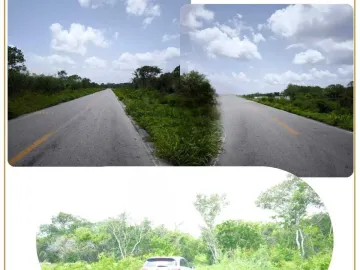 Terreno en venta en Motul de Carrillo Puerto Centro, Motul, Yucatán