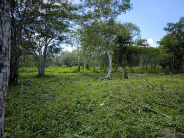 Terreno en venta en Motul de Carrillo Puerto Centro, Motul, Yucatán