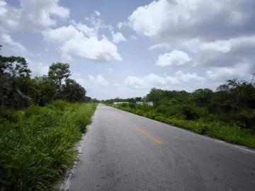 Terreno en venta en Motul de Carrillo Puerto Centro, Motul, Yucatán