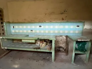 Casa en venta en Jesus Carranza, Mérida, Yucatán