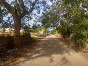 Terreno en venta en Chichi Suarez, Mérida, Yucatán