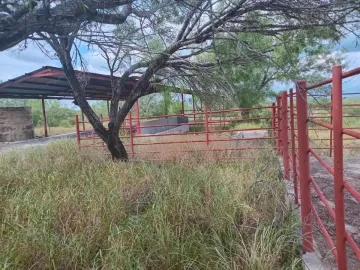 Finca-Rancho en venta en Mier Centro, Mier, Tamaulipas