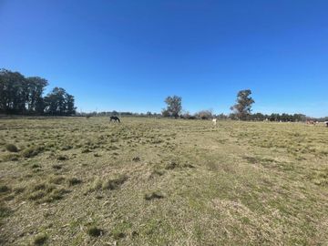 Terreno en Venta en Exaltación De La Cruz