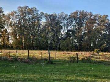 Terreno en Venta en Exaltación De La Cruz
