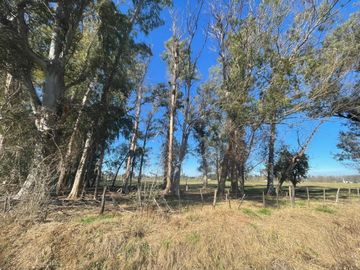 Terreno en Venta en Exaltación De La Cruz