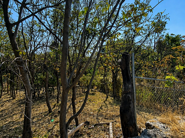 Terreno en Venta en Bugambilias | Condominio Tegir