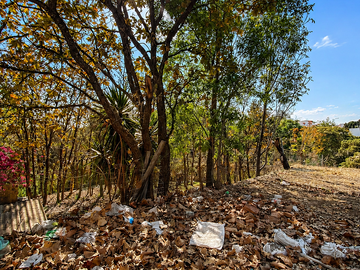 Terreno en Venta en Bugambilias | Condominio Tegir