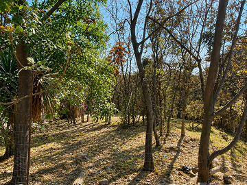 Terreno en Venta en Bugambilias | Condominio Tegir