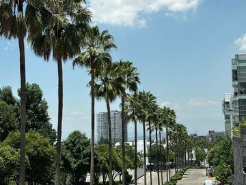 DEPARTAMENTO/LOMAS DEL PEDREGAL FRAMBOYANES/TLALPAN