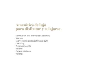 Departamento de 3 dormitorios mas Dep o 4to dorm en SOLE Araoz - Categoria y Amenities