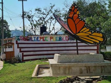 Terreno y Rancho 100 hectáreas | Temascaltepec , Edo. de México