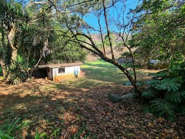 Terreno y Rancho 100 hectáreas | Temascaltepec , Edo. de México