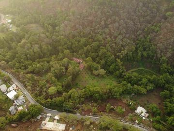 Terreno y Rancho 100 hectáreas | Temascaltepec , Edo. de México