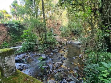 Terreno y Rancho 100 hectáreas | Temascaltepec , Edo. de México