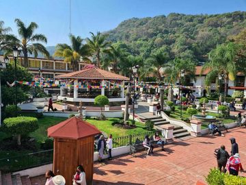 Terreno y Rancho 100 hectáreas | Temascaltepec , Edo. de México
