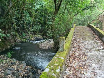 Terreno y Rancho 100 hectáreas | Temascaltepec , Edo. de México