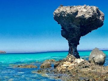 Departamento en Venta en Balaena,la Paz Baja California