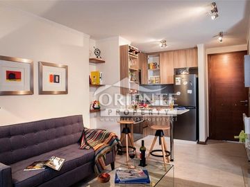 MODERNO SECTOR LAS TRANQUERAS LAS CONDES 1 DORMITORIO 1 BAÑO