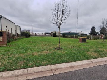 Terreno en Santo Tomás