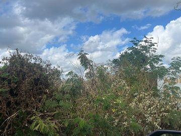 Terreno en Venta en Tixcuytun de 638 m2