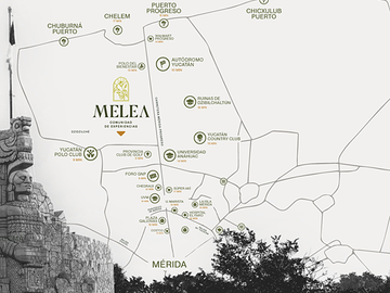 DESARROLLO ABELLA EN EL NORTE DE MÉRIDA CARR PROGRESO A 3KM