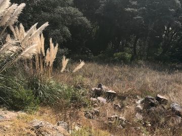 VENTA TERRENO EN RANCHO SAN JUAN ALMENDROS  ATIZAPAN ZARAGOZA