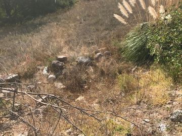 VENTA TERRENO EN RANCHO SAN JUAN ALMENDROS  ATIZAPAN ZARAGOZA