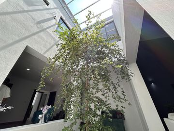 Casa en Fraccionamiento Bugambilias