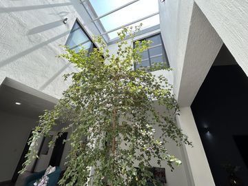 Casa en Fraccionamiento Bugambilias