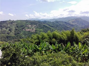 Venta Finca Hotel La Cabaña, Manizales Cod. 2781965