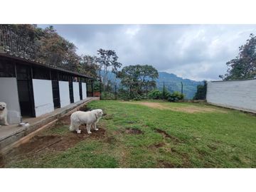 Venta Casa Francia, Manizales Cod, 8459238