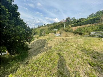Venta Lote Cabaña, Manizales, código 4632707
