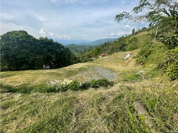 Venta Lote Cabaña, Manizales, código 4632707