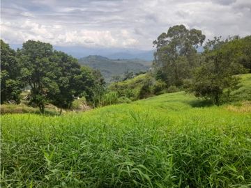 Venta Lote Cabaña, Manizales, código 4632707