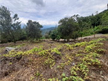 Venta Lote Cabaña, Manizales, código 4632707